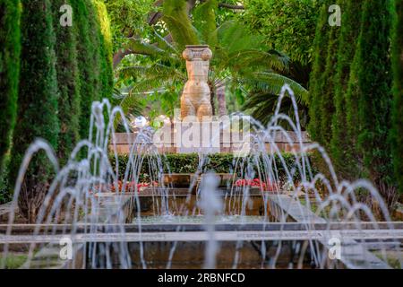 Garten des königlichen Obstgartens, Palma, Mallorca, Balearen, Spanien. Stockfoto