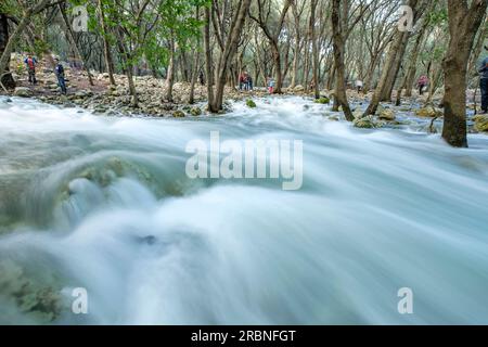 Fonts Ufanes, Gabellí Petit, Campanet, Region der Sierra de Tramuntana, Mallorca, Balearen, Spanien, Mallorca, Balearen, Spanien. Stockfoto