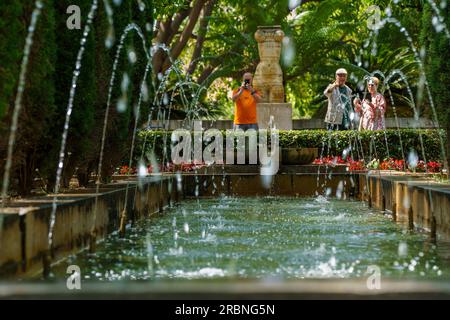 Garten des königlichen Obstgartens, Palma, Mallorca, Balearen, Spanien. Stockfoto