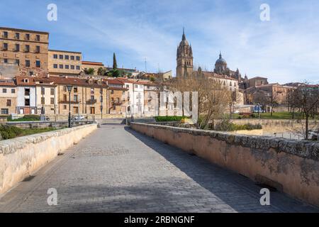 Römische Brücke und Kathedrale von Salamanca - Salamanca, Spanien Stockfoto