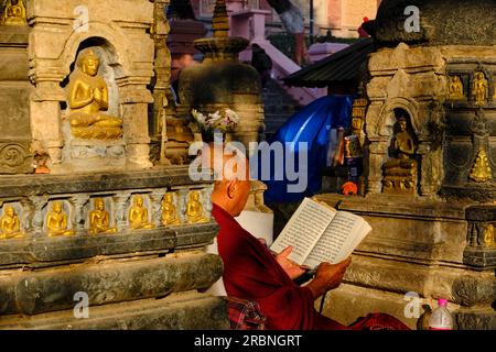 Indien, Bihar, Bodhgaya, UNESCO World Heriatge, Mahabodhi-Tempel, tibetische buddhistische Mönche Stockfoto