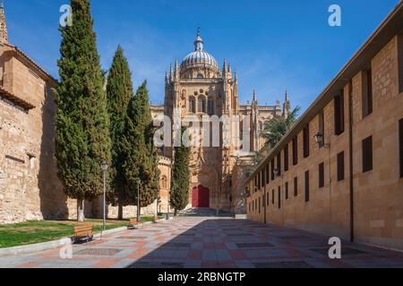 Südeingang der Kathedrale von Salamanca - Salamanca, Spanien Stockfoto