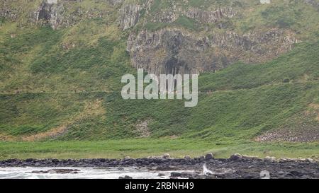 Besuchen Sie Nordirland, Kultur, Geologie, Architektur, Ruhe, Üppig grüne Länder, Legenden und Mythen Riesen Causeway antrim NI Stockfoto