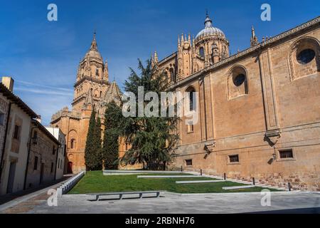 Alte und neue Kathedrale von Salamanca - Salamanca, Spanien Stockfoto