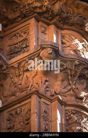 Frosch und Schädel an der Plateresque-Fassade der Alten Universität von Salamanca - Salamanca, Spanien Stockfoto