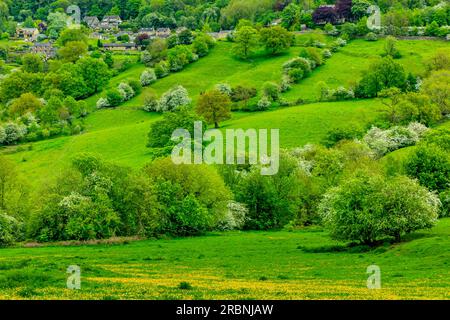 Blick über Felder in Richtung Starkholmes Dorf von Matlock Bath im Derbyshire Dales Peak District England mit Bäumen in Frühlingsfarben. Stockfoto