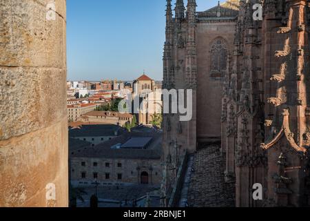 Salamanca Kathedrale und San Esteban Kloster aus der Vogelperspektive - Salamanca, Spanien Stockfoto