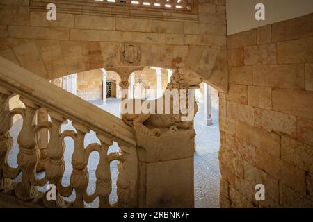 Treppe von Casa de las Conchas (Haus der Muscheln) - Salamanca, Spanien Stockfoto