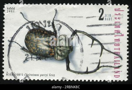 RUSSLAND KALININGRAD, 2. JUNI 2016: Stempel gedruckt von Thailand zeigt Käfer, circa 2001 Stockfoto