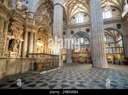 Neue Kathedrale von Salamanca mit Retrochor und Goldener Kapelle - Salamanca, Spanien Stockfoto