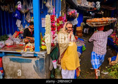 Inde, Bengale Occidental, Kalkutta (Kalkutta), le marche aux Fleurs de Mullik Ghat // Indien, Westbengalen, Kalkutta, Blumenmarkt Mullick Ghat Stockfoto