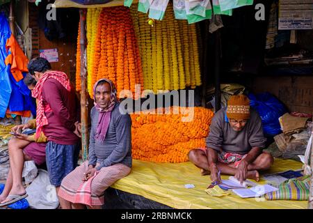 Inde, Bengale Occidental, Kalkutta (Kalkutta), le marche aux Fleurs de Mullik Ghat // Indien, Westbengalen, Kalkutta, Blumenmarkt Mullick Ghat Stockfoto