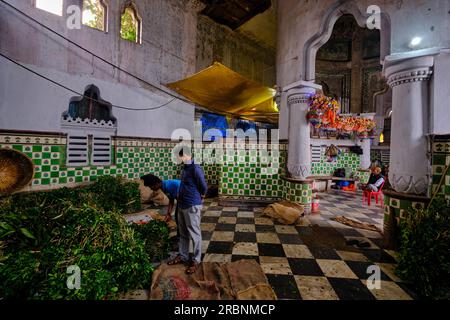 Inde, Bengale Occidental, Kalkutta (Kalkutta), le marche aux Fleurs de Mullik Ghat // Indien, Westbengalen, Kalkutta, Blumenmarkt Mullick Ghat Stockfoto