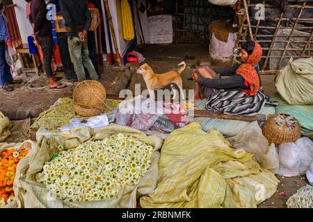 Inde, Bengale Occidental, Kalkutta (Kalkutta), le marche aux Fleurs de Mullik Ghat // Indien, Westbengalen, Kalkutta, Blumenmarkt Mullick Ghat Stockfoto