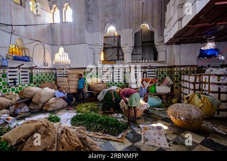 Inde, Bengale Occidental, Kalkutta (Kalkutta), le marche aux Fleurs de Mullik Ghat // Indien, Westbengalen, Kalkutta, Blumenmarkt Mullick Ghat Stockfoto