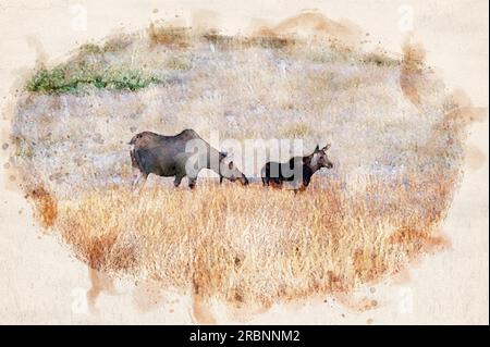 Digital erstelltes Aquarellgemälde einer Moose-Mutter und ihres Kalbes in Yellowstone Stockfoto