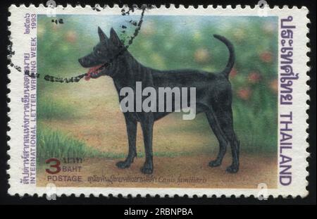 RUSSLAND KALININGRAD, 2. JUNI 2016: Stempel gedruckt von Thailand zeigt Hund, circa 1993 Stockfoto