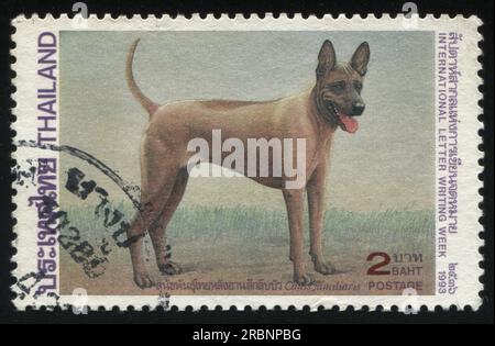 RUSSLAND KALININGRAD, 2. JUNI 2016: Stempel gedruckt von Thailand zeigt Hund, circa 1993 Stockfoto