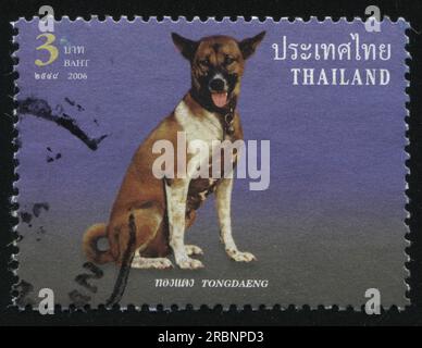 RUSSLAND KALININGRAD, 2. JUNI 2016: Stempel gedruckt von Thailand zeigt Hund, circa 2006 Stockfoto