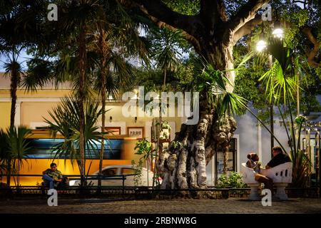 Menschen, die in der Dämmerung im Park sitzen, Mérida, Hauptstadt von Yucatán, Mexiko, Nordamerika, Lateinamerika Stockfoto