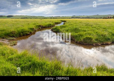 Seven Sisters Country Park, East Sussex, England Stockfoto