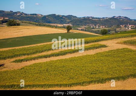 Carbonara, Piedmont, Italien, auf den Straßen von Fausto Coppi, Region Tortona, Stockfoto