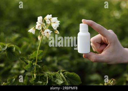 Probleme und Lösung der Gartensaison. Zugeschnittene Fotohand des Bauern hält weiße Flasche mit Modell für Gift, Pestizidflüssigkeit von Pflanzenkrankheiten und Stockfoto