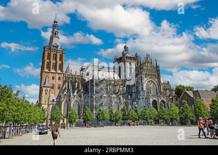 S-Hertogenbosch (St. Johns Cathedral), Niederlande - Juli 8. 2023 Uhr: Schöner Platz mit mittelalterlicher kirche im romanischen Stil aus dem 13. Jahrhundert Stockfoto