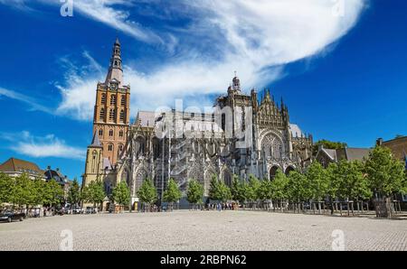 S-Hertogenbosch (St. Johns Cathedral), Niederlande - Juli 8. 2023 Uhr: Schöner Platz mit mittelalterlicher kirche im romanischen Stil aus dem 13. Jahrhundert Stockfoto