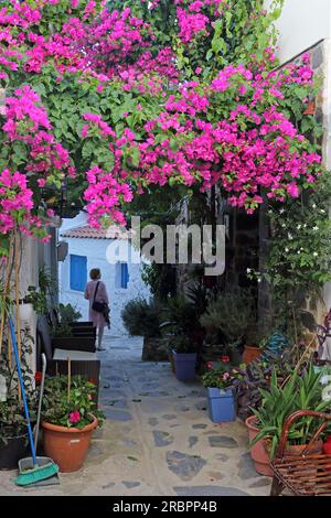 Eindruck in einer Gasse von Skopelos Stadt, Skopelos Insel, Nördliche Sporaden, Griechenland Stockfoto