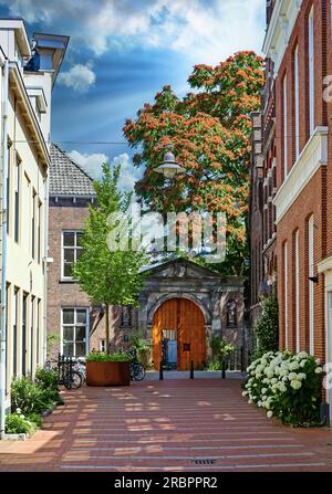 Eine von vielen idyllischen Gassen im historischen Stadtzentrum mit Wohnhäusern - Seitenstraße der Hinthamerstraat, S-Hertogenbosch, Niederlande Stockfoto