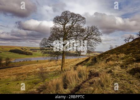 Ogden Reservoir, Haslingden Grane Stockfoto