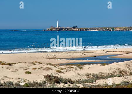 Pigeon Point Lighthouse California Stockfoto