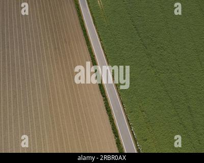 Blick von oben auf eine Asphaltstraße zwischen grünem Pflanzenfeld und braunem Ackerland mit Erde im Frühling Stockfoto