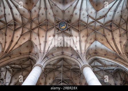 Die spätgotische Netzgewölbe des Chors im Heilig Kreuz Münster in Schwäbisch Gmünd, Ostalbkreis, Baden-Württemberg, Deutschland, Europa Stockfoto