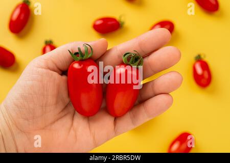 Weibliche Hand hält zwei rote Ornela-Kirschtomaten auf gelbem Hintergrund. Kleine, in Flaschen geformte Tomaten auf einer weiblichen Handfläche. Bio-Gemüse Stockfoto