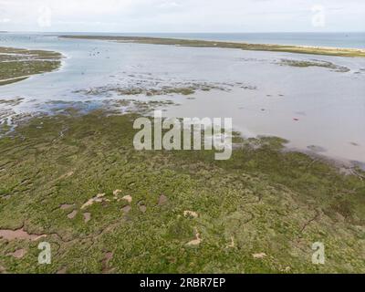 Luftaufnahme von Blakeney, Norfolk, Großbritannien, Marsch und Blakeney Point sichtbar Stockfoto