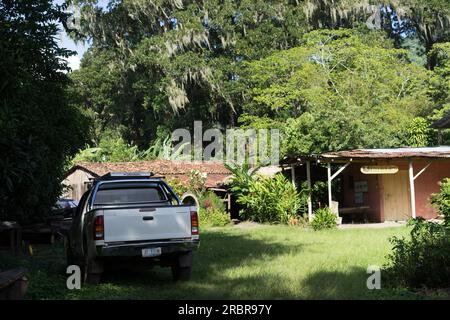 Finca El Laurel, eine Finca im Departement Jinotega in der Nähe der Stadt Jinotega. Die Bäume hinter dem Haupthaus sind mit spanischem Moos bedeckt Stockfoto