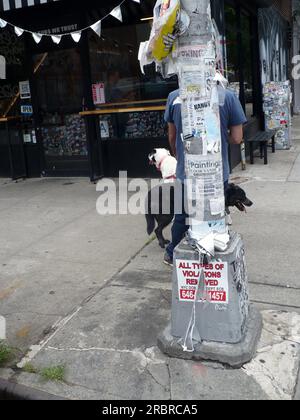 Brooklyn, New York, USA. 5. Juni 2007. Hunde. 10. Juli 2023. (Kreditbild: © John Marshall Mantel/ZUMA Press Wire) NUR REDAKTIONELLE VERWENDUNG! Nicht für den kommerziellen GEBRAUCH! Stockfoto