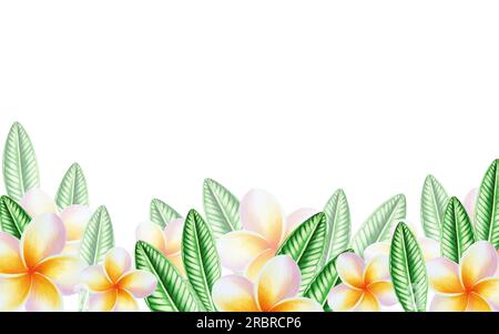 Aquarell nahtlose Umrandung realistische tropische Darstellung von Plumeria-Blüten mit isolierten Blättern auf weißem Hintergrund. Wunderschöne botanische Handschmerzen Stockfoto