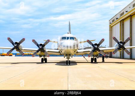 JACKSONVILLE, Florida (23. Juni 2023) die Besatzung eines P-3C Orion-Flugzeugs, das an die Patrouille- und Aufklärungsgeschwader (VP) 30 angeschlossen ist, trifft die Vorbereitungen im Rahmen der P-3C Orion Sundown Zeremonie im VP 30-Hauptquartier, Juni 23. Die Zeremonie feierte 62 Jahre aktiven Dienstes für das Orion-Flugzeug. VP 30 mit Sitz in Jacksonville Florida ist die USA Marinepatrouille und Ersatzschwadron der Aufklärungsflotte (FRS) der Marine. Aufgabe von VP 30 ist es, vor der Reportierung für P-8A Poseidon-Seepatrouillenflugzeuge und MQ-4C UAS spezifische Schulungen für Piloten, Marineflugsoffiziere und in Anspruch genommene Flugbesatzungen bereitzustellen Stockfoto
