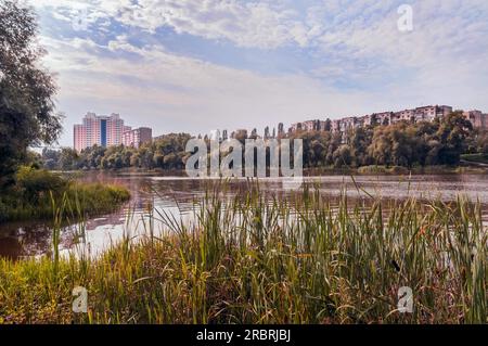 Blick auf Gebäude in der Nähe des Yordanske-Sees im Obolon-Viertel von Kiew, Ukraine. Schilf (Phragmites australis) im Vordergrund und weich bewölkt Stockfoto