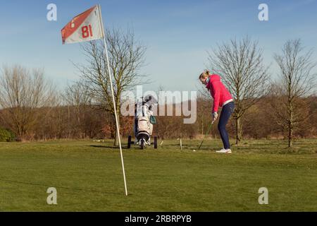 Junge Golferin in einem Golfsporttraining, trägt Jacke und Jeans, schlägt Golfball auf dem Cup mit Flagge Stockfoto