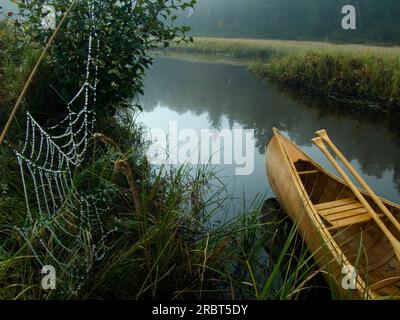 Spider Web und Kanu, Lake Wapizagonke, La Mauricie National Park, Quebec, Kanada Stockfoto