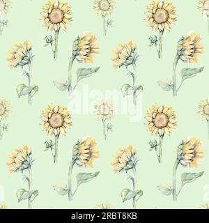 Wasserfarbenes, nahtloses Muster mit Sonnenblumen und Schmetterlingen. Handgezeichnete Illustration Stockfoto