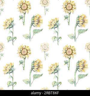 Wasserfarbenes, nahtloses Muster mit Sonnenblumen und Schmetterlingen. Handgezeichnete Illustration Stockfoto