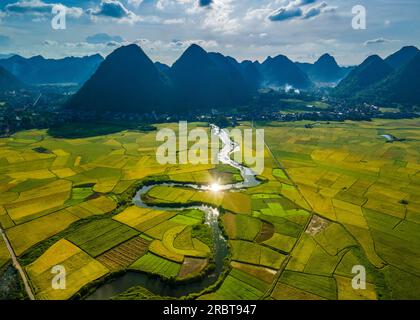 Reife Reisfelder im Bac Son Valley, Vietnam Stockfoto