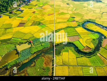 Reife Reisfelder im Bac Son Valley, Vietnam Stockfoto