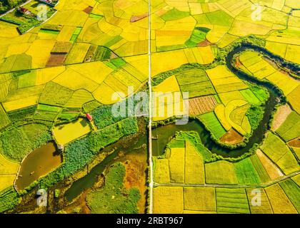 Reife Reisfelder im Bac Son Valley, Vietnam Stockfoto