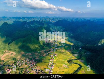 Reife Reisfelder im Bac Son Valley, Vietnam Stockfoto